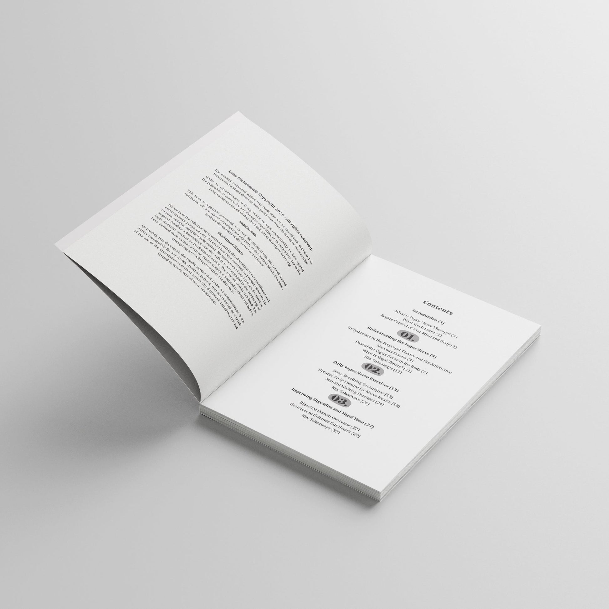 Table of contents for “Vagus Nerve Reset Workbook” by Lulu Nicholson — a self-help guide for stress relief and nervous system healing